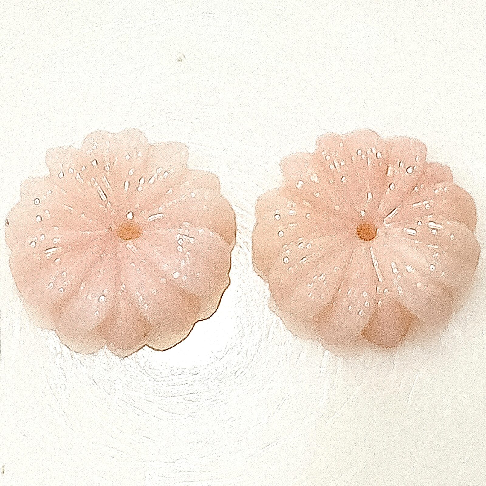 IMG_20251128_134500541